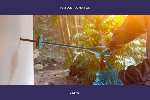 PEST CONTROL Maybrook